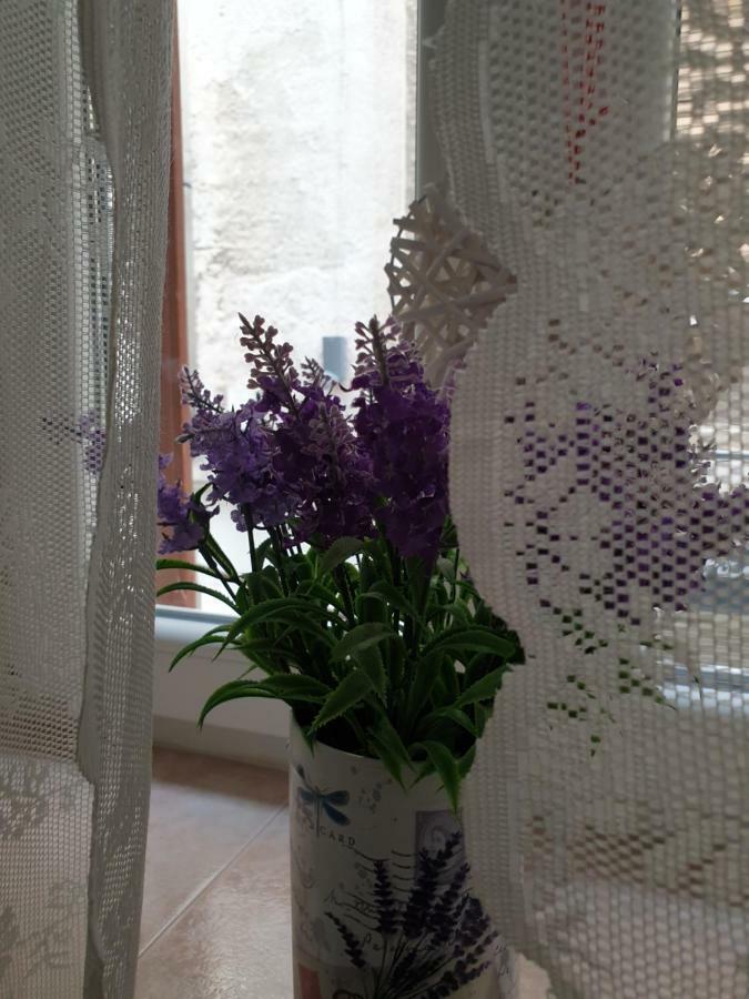 D&M Apartment Sibenik - An Apartment In The Heart Of The Old Town Exteriör bild